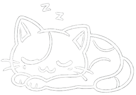 chat blanc dort